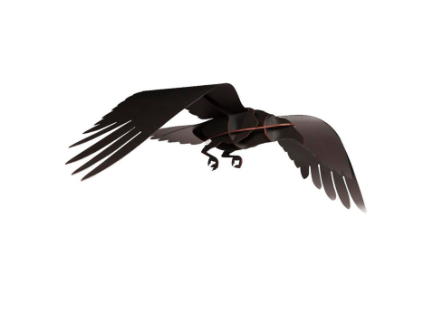 Декоративный элемент Flying ravens, Adam